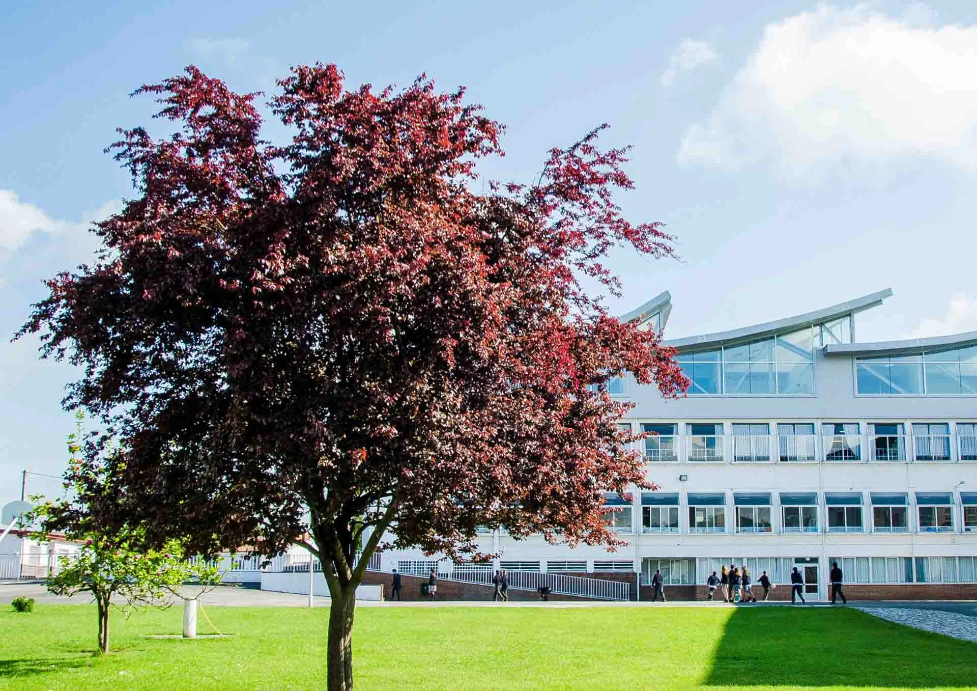 Visita nuestro campus