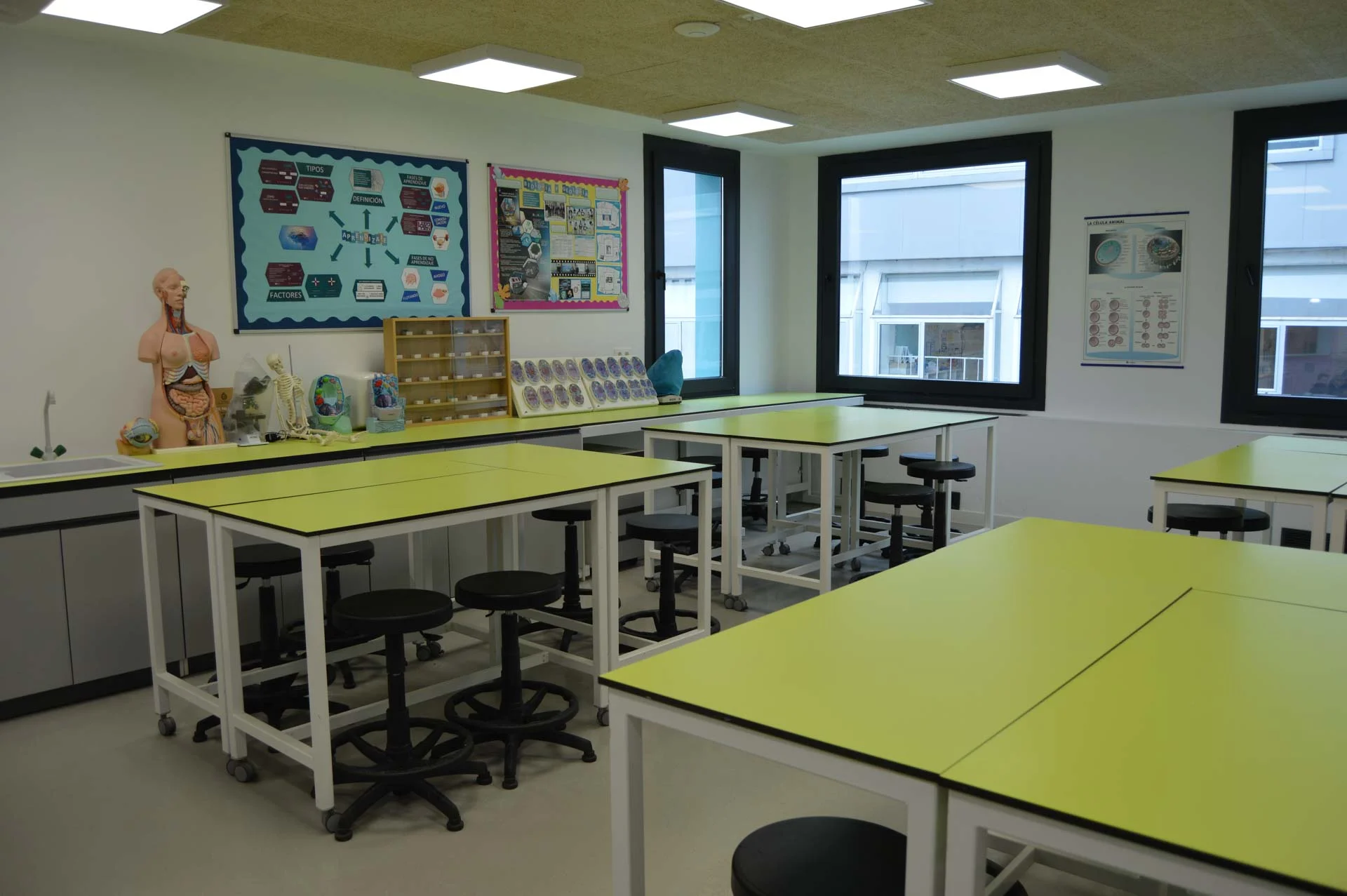 Itinerario de Ciencias