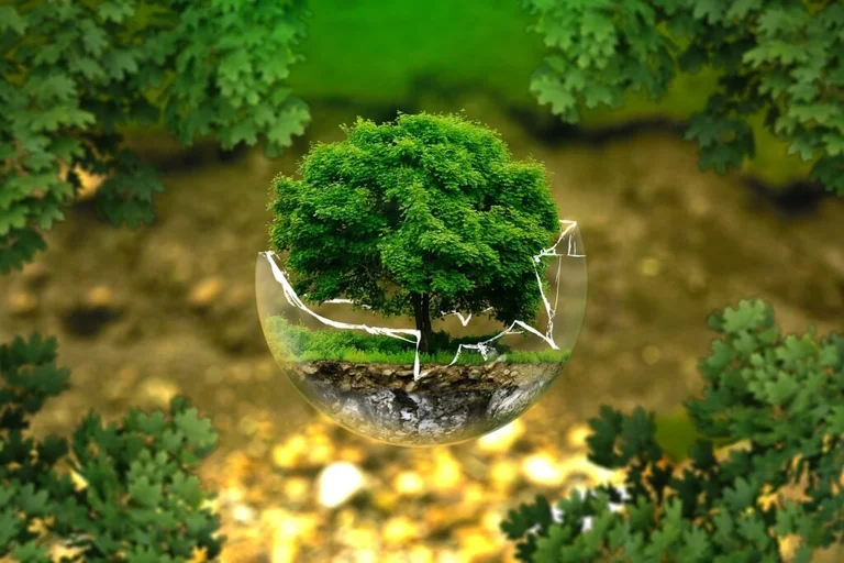 Qué es la educación ambiental y su importancia en el colegio